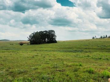 Campo · 60ha · Chacra en Venta a 10 Km de San Carlos por Ruta 9