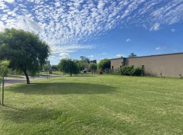 Terreno · 925m² · Terreno en Venta Lote Interno en San Ramon, Pilar del Este
