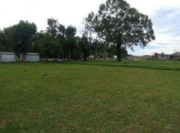 Terreno , Mar del Plata · Venta Lote San Eduardo
