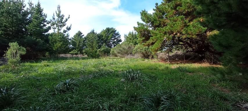 Compra tu lote en El Marquesado. Tamaño: 500 m²