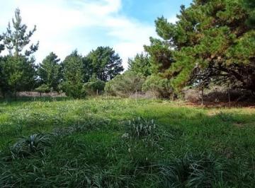 Terreno , Mar del Plata · Venta Lote El Marquesado