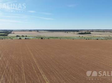 Campo · 520000m² · Campo Mixto en San Pedro