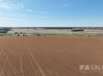 Campo · 520000m² · Campo Mixto en San Pedro