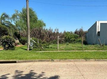 Terreno · 159m² · Terreno en Lamadrid 1654