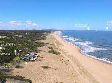 Singular Chacra Marítima en venta de 5 Has sobre la playa, próxima a Punta Ballena !. - Foto1 · Singular Chacra Marítima en Venta de 5 Has Sobre La Playa, Próxima a Punta Ballena!.