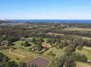 Chacra en venta en Punta Ballena con casco antiguo a sólo 4 minutos del mar ! - Foto1 · Chacra en Venta en Punta Ballena con Casco Antiguo a Sólo 4 Minutos del Mar!