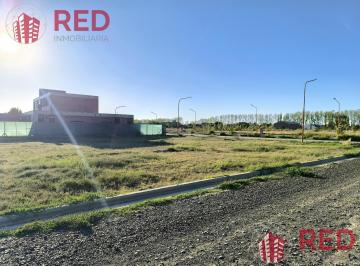 Terreno · 600m² · Venta de Terreno en Barrio Manzanares de Gines - Cipolletti