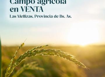 Campo · 500000m² · Campo Agrícola en Las Mellizas