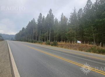Terreno · 1m² · Chacra de 1,5 Has Sobre Ruta 86 Mallin Ahogado (Su - 17)