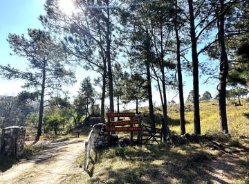 Terreno , Villa Berna · Lote de 1.5 Hectáreas en Villa Berna - Barrio Cerrado Loma del Tigre