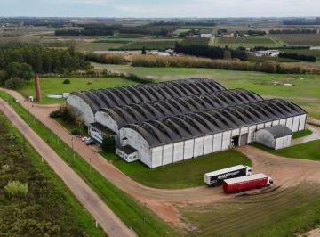 Depósito · 10000m² · Alquiler Nave Logística Galpon Deposito Canelones