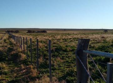 Campo · 24000000m² · Campo de 2500 Hectáreas en Alquiler