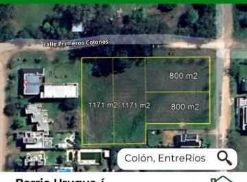 IAZ-IAZ-47_2 · Lote. | Primeros Colonos