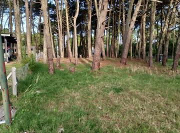 Terreno · 903m² · Pinamar - Cul de Sac de Alamos Lote 09