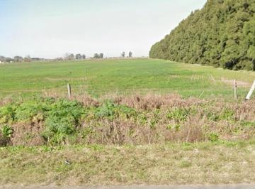 Campo · 50000m² · Campo en Zavalla