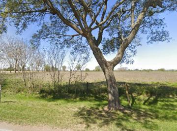 Campo · 65000m² · Campo en Totoras