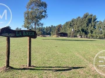 Terreno · 130m² · Venta Cabaña Sobre Gran Fracción de 4 Lotes Presidente Perón