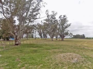 Terreno · 170000m² · Venta Lote de 17 Hectáreas en Coronel Brandsen