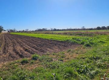 Campo · 55000m² · Campo en Venta en Colonia Caroya, Córdoba!
