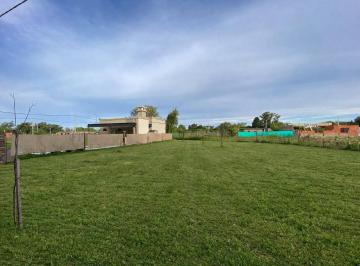 Terreno · 408m² · En Venta Terreno de 400 m² Barrio Las Tipas