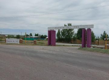 Terreno , Luján de Cuyo · Venta Lote El Carrizal