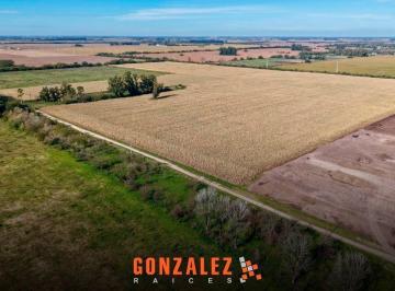 Campo · 530000ha · Campo 53 Ha - 20 de Junio