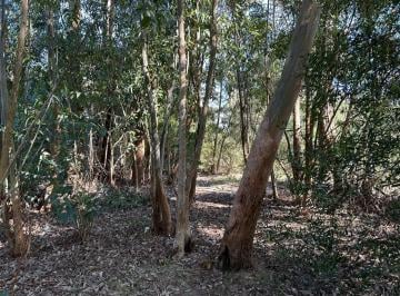 Terreno · 450m² · Terreno en La Juanita