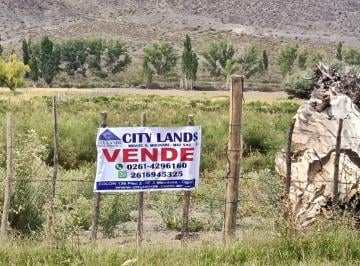 Terreno , Uspallata · Vendo Terreno de 1 Ha 7.800 m² en Uspallata