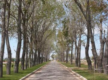 Terreno · 663m² · Terreno en Venta La Alameda