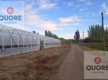Campo · 60m² · Venta de Chacra 9 Hectáreas, Productiva Comercial con Invernaderos