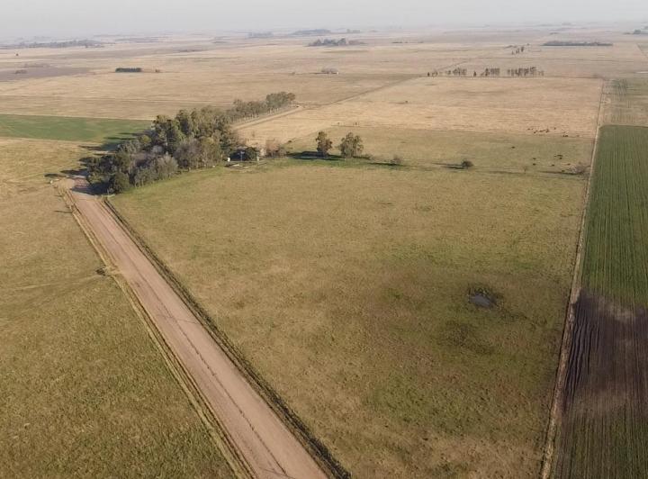 Campo · 1m²