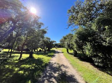Campo · 130m² · 3 Ambientes · Chacra en Venta en Laguna del Rosario con Frente a Laguna