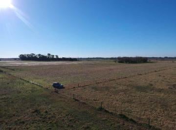 Campo · 113ha · Venta Campo 112 Hectáreas Agrícolas en Exaltación
