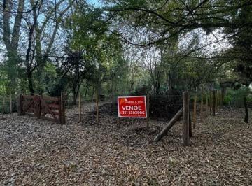 Terreno , Santa Rosa de Calamuchita · Lotes con Bajada Al Rio - Santa Rosa de Calamuchita