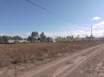Terreno , San Rafael · Lotes de 2000 m en Inmejorable Ubicación (Zona Rama Caída)