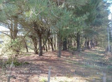 Terreno · 1697m² · Espectacular Esquina de 1697 m² Sobre Ruta 16, Paraje Entre Ríos, Lago Puelo