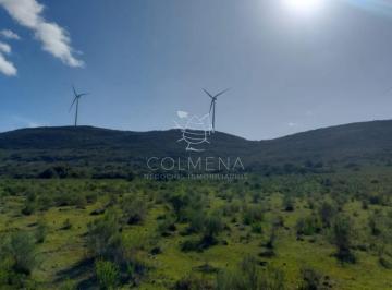 Foto1 · Campo en Los Caracoles de 5 Has y 6 Ha