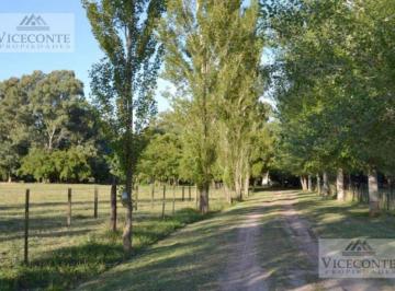 Campo , Brandsen · Campo 126 Has Gómez. Partido de La Plata. Provincia de Buenos Aires.