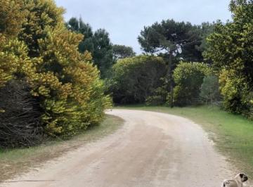 Terreno , Partido de la Costa · Lote Oportunidad Punta Medanos a m del Mar - E04