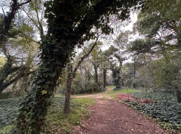 imagen1 · Lotes en Venta Zona Turistica Temática