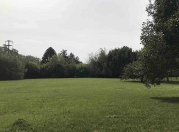MOA-MOA-631_2 · Lote. | Camino Real Al 1800