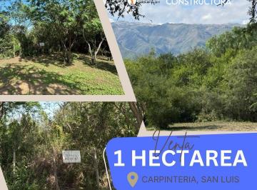 Terreno , Carpintería · 1 Hectárea en Carpintería San Luis! Lugar Privilegiado! Oportunidad de Inversión