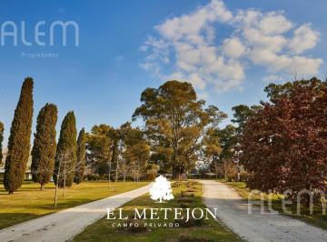 Terreno · 970m² · Terreno en Venta en El Metejón, Cañuelas