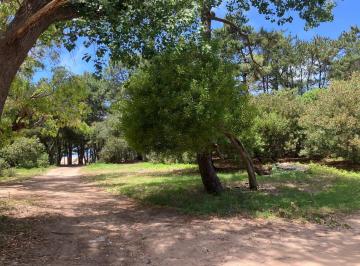 Terreno · 1659m² · Venta de Terreno Multifamiliar Hotelero. Mar Azul
