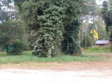 Terreno · 2175m² · Venta de 5 Lotes en Block, Bosque Peralta Ramos