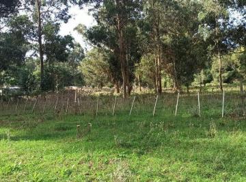 Terreno · 222m² · Venta Lote Parque Bristol Miramar