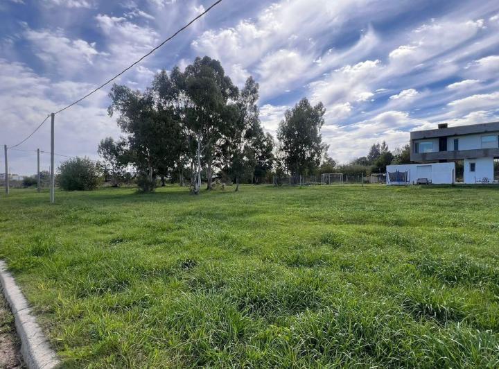 Terreno · 704m²