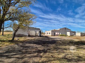 Campo · 250000m² · Venta de Chacra 25 Has Sobre Ruta Provincial 65 - Allen