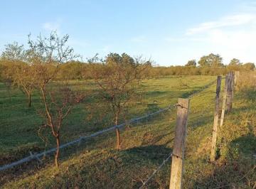 Campo · 66000m² · Campo en Venta en Helvecia
