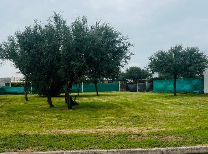 Terreno · 600m²